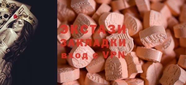 индика Коряжма