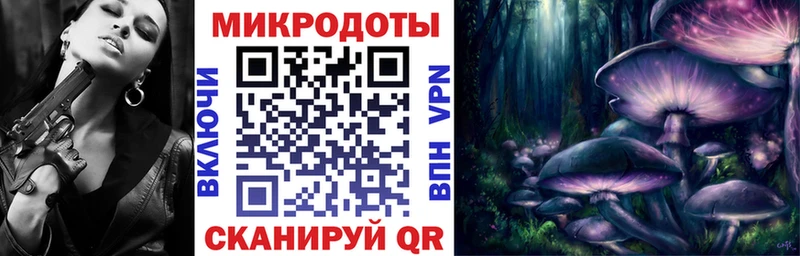 Галлюциногенные грибы GOLDEN TEACHER  купить  цена  МЕГА ССЫЛКА  Поронайск 